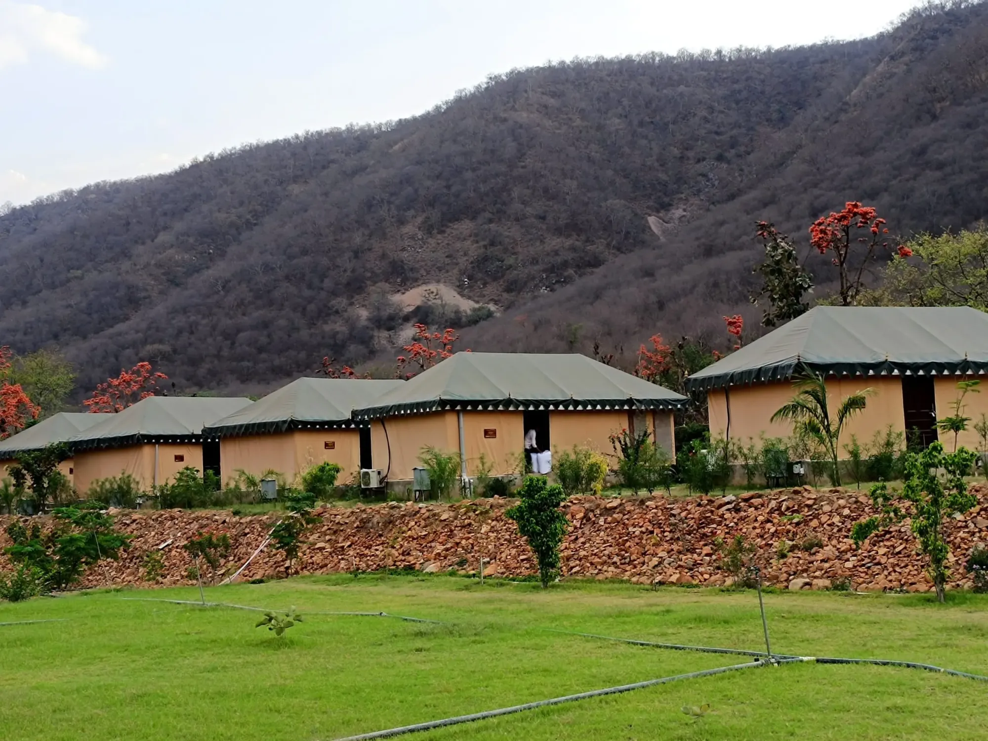 Best Resort in Sariska for a Relaxing Wildlife Weekend