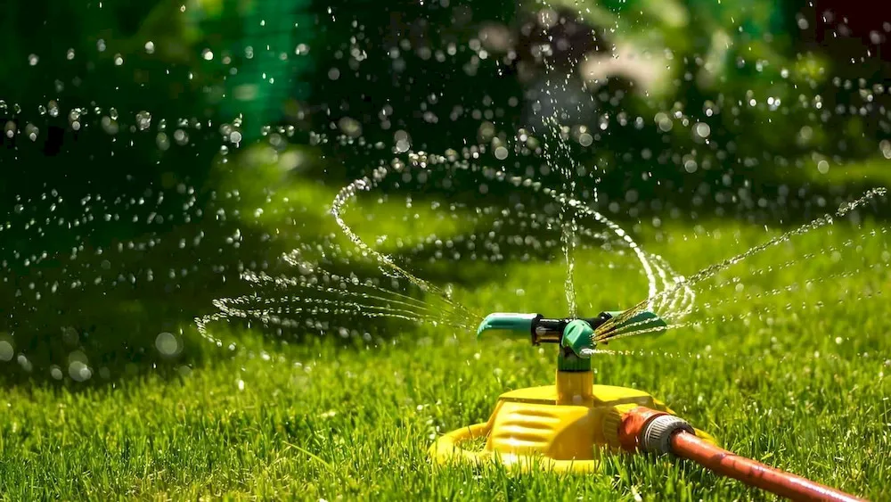 Amino Acid Fertilizer for Lawns: How to Choose the Right One