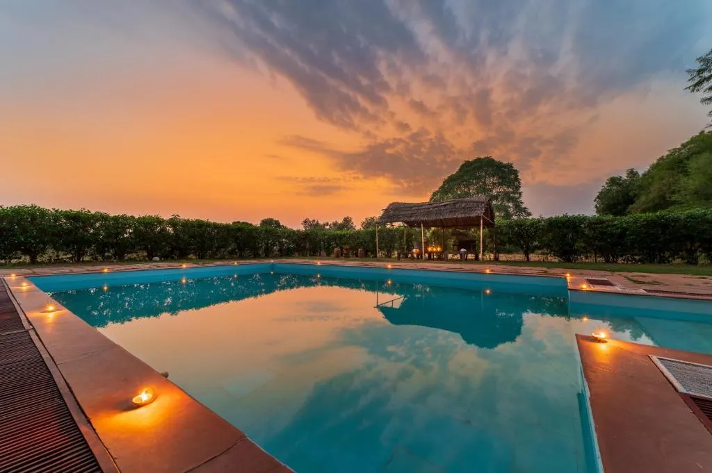 Tiger Safari Resort: Experience a Peaceful Wildlife Escape in Ranthambore