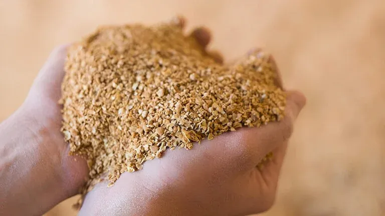 Amino Acid Fertilizers Production: Analysis & Selection of the Optimal Methods