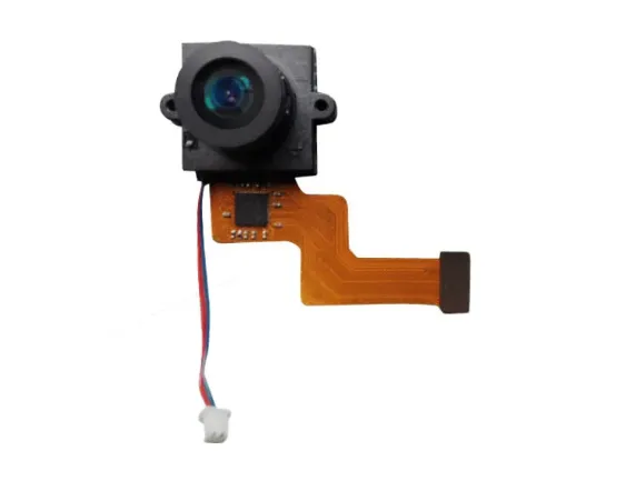 Bird Watching Camera Modules: What OEM Manufacturers Should Consider for Outdoor Wildlife Monitoring
