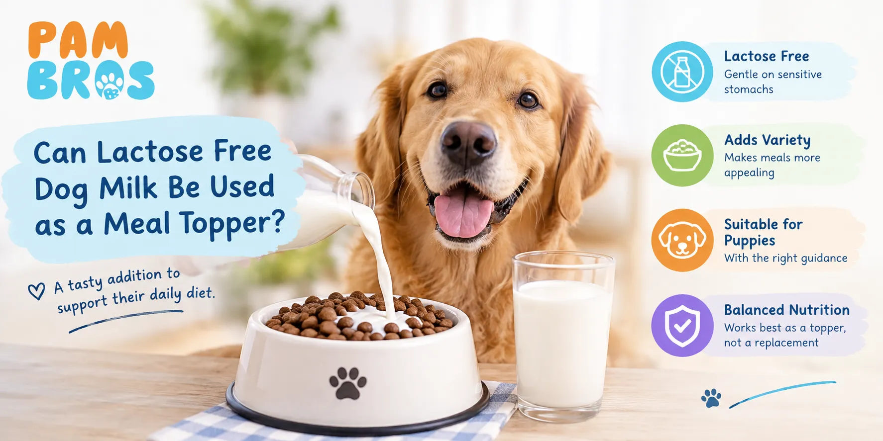 Can Lactose Free Dog Milk Be Used as a Meal Topper?