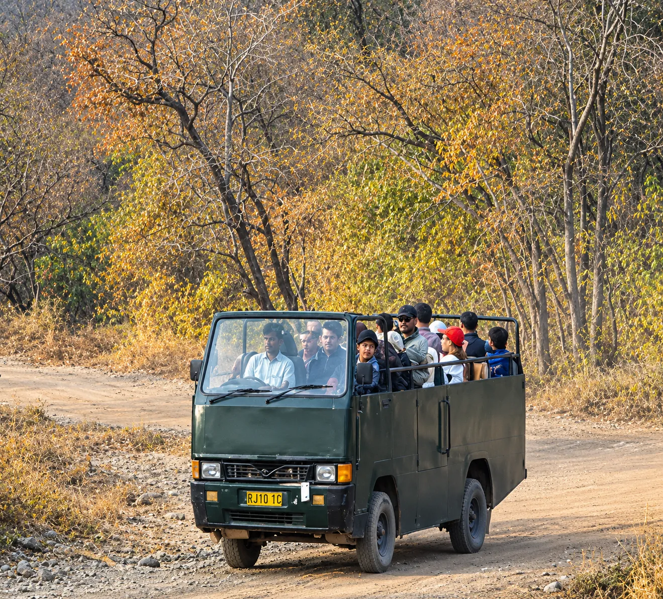 A Complete Guide to Comfortable Wildlife Stays in Ranthambore