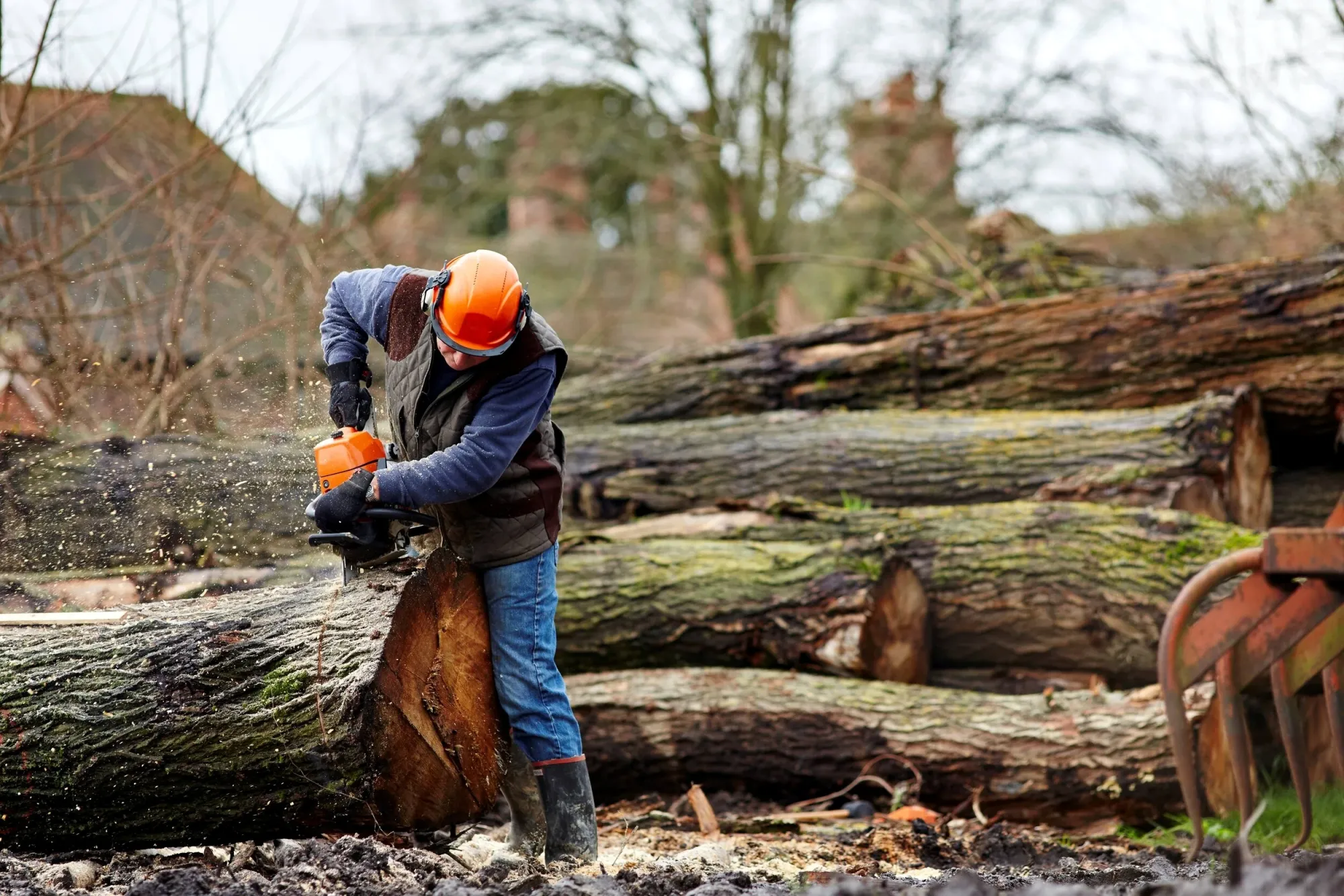 When Should You Call a Professional Arborist?