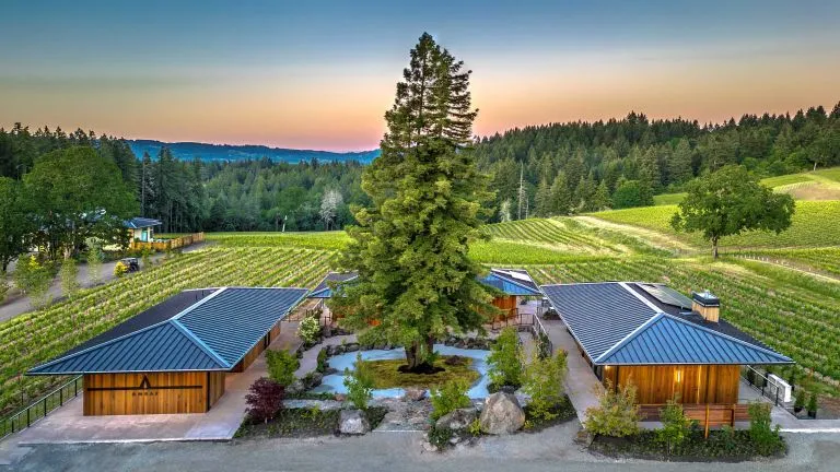 The Living Vineyard: How Regenerative Organic Viticulture Redefines Willamette Valley Wine