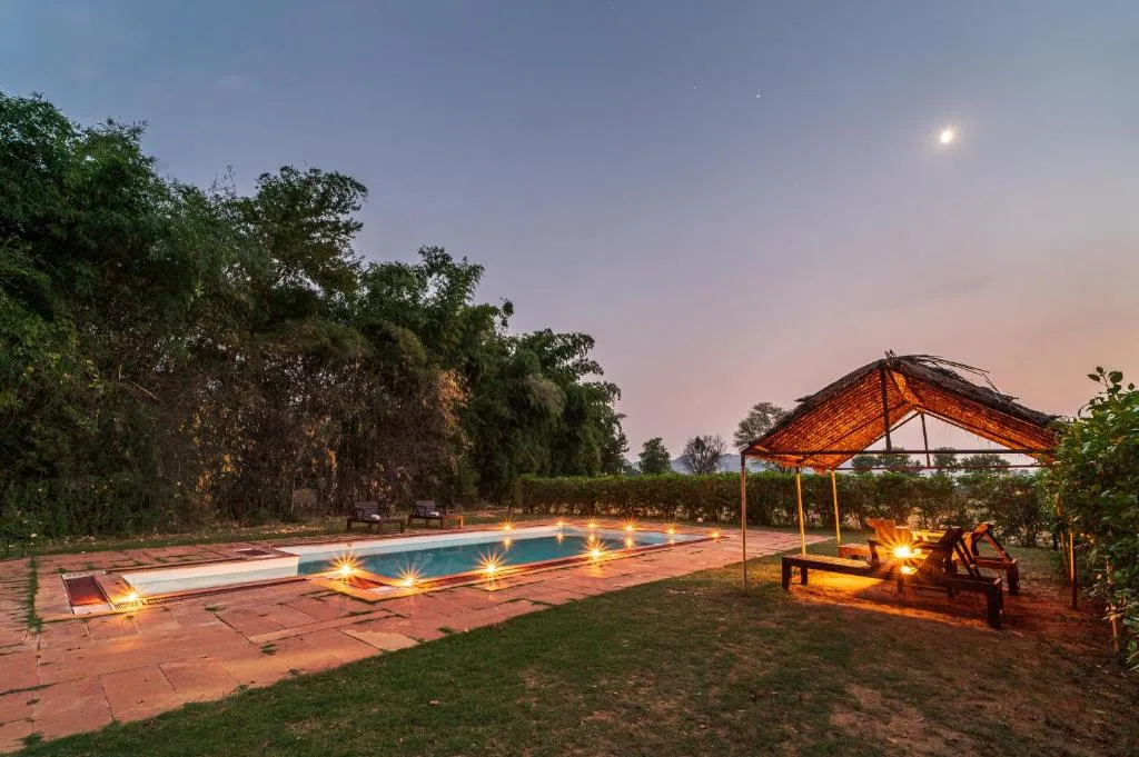 Comfortable Wildlife Stays in Ranthambore for Nature Lovers
