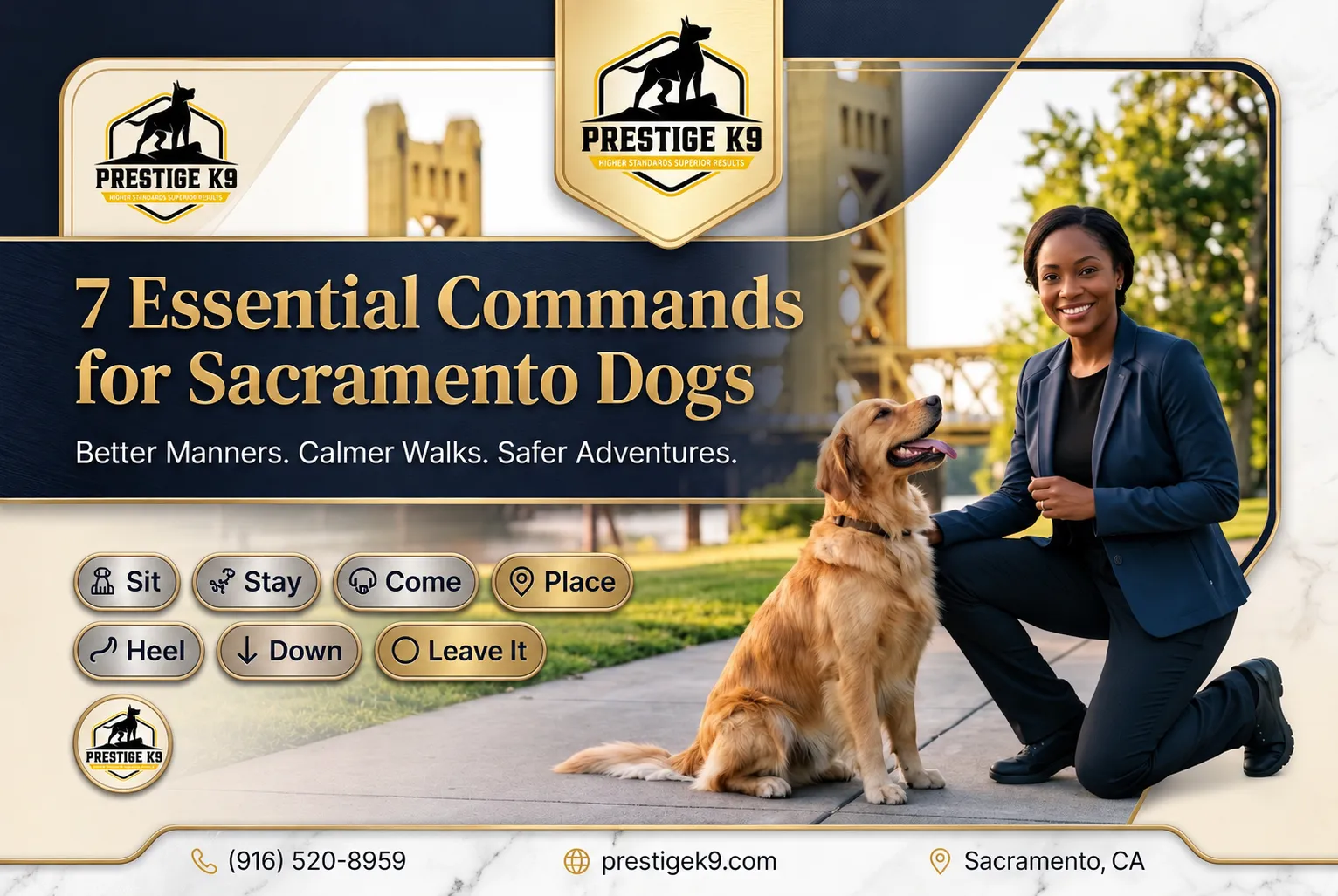 What Are 7 Essential Commands Every Dog in Sacramento Should Learn?