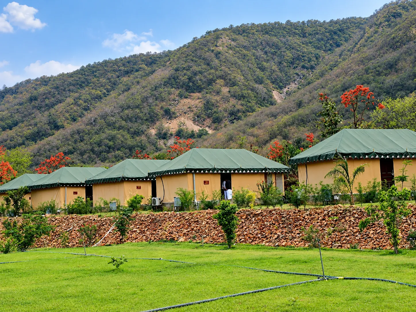Discover Peaceful Places To Stay In Sariska Near Nature