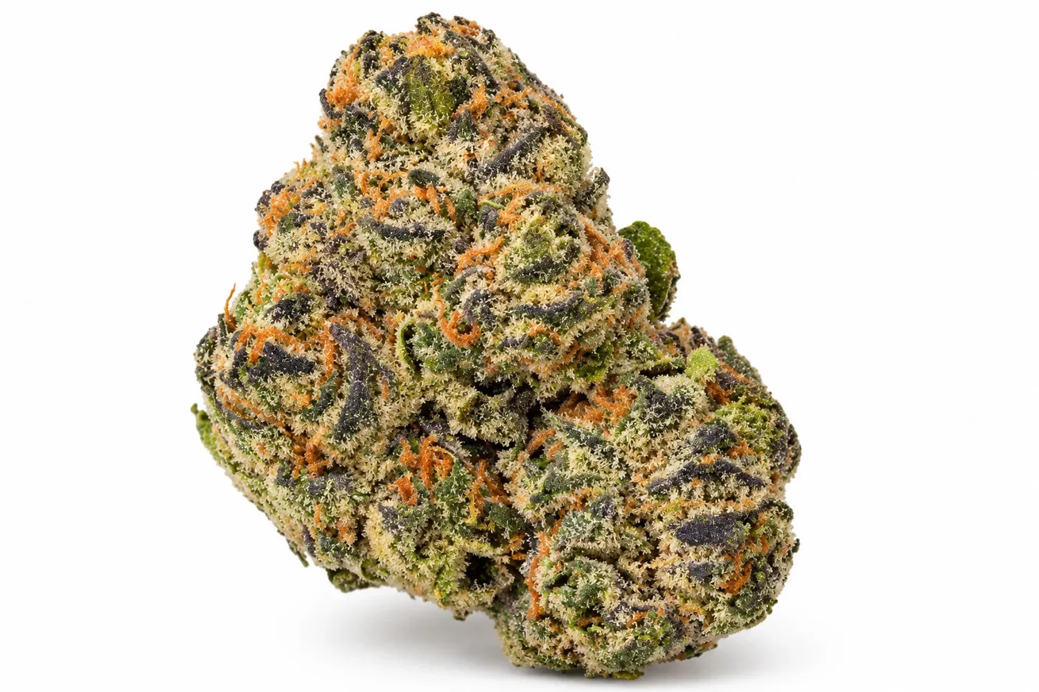Best Gelato 33 THCA Flower: Key Quality Traits to Consider