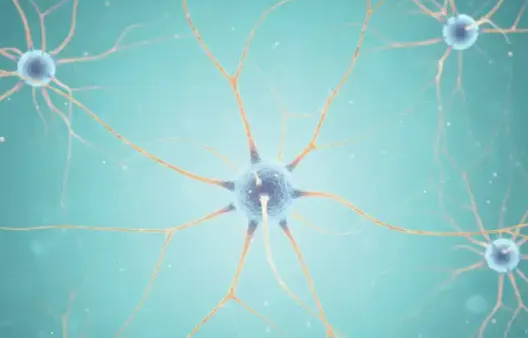 7 Things to Know About Stem Cells for Long COVID Brain Fog