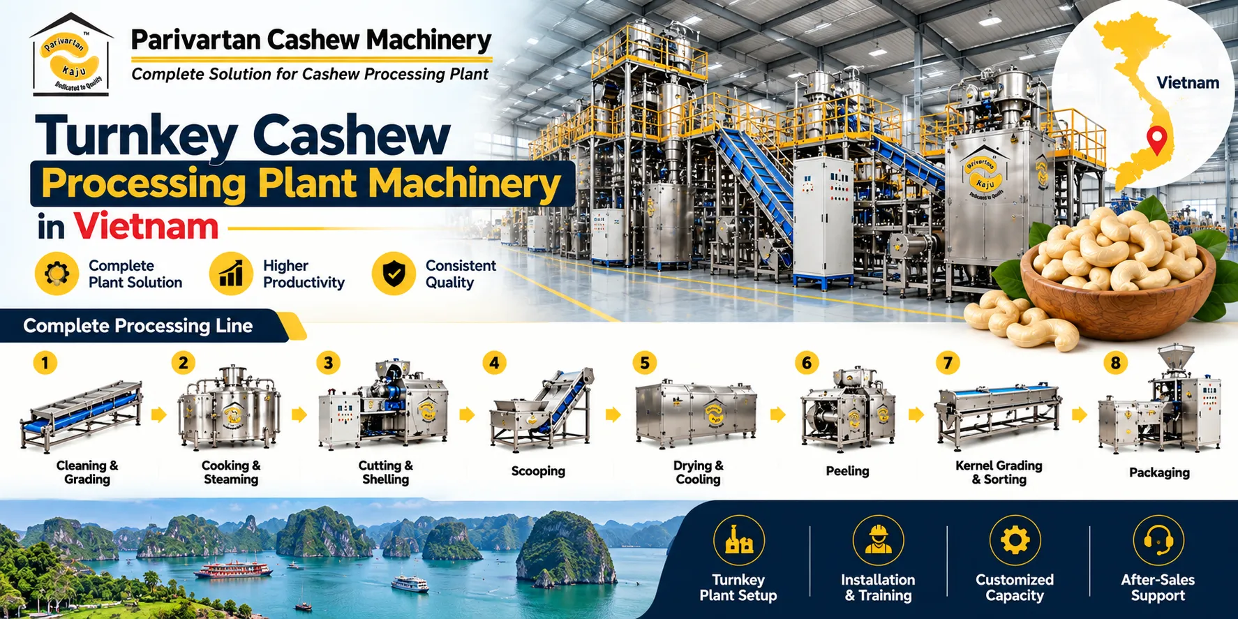 Turnkey Cashew Processing Plant Machinery in Vietnam