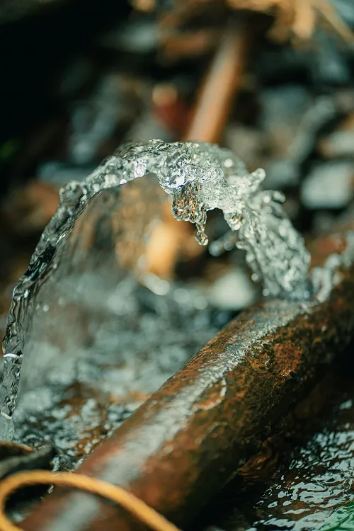 Water Main Repair and Replacement in Maryland: A Complete Property Owner’s Guide