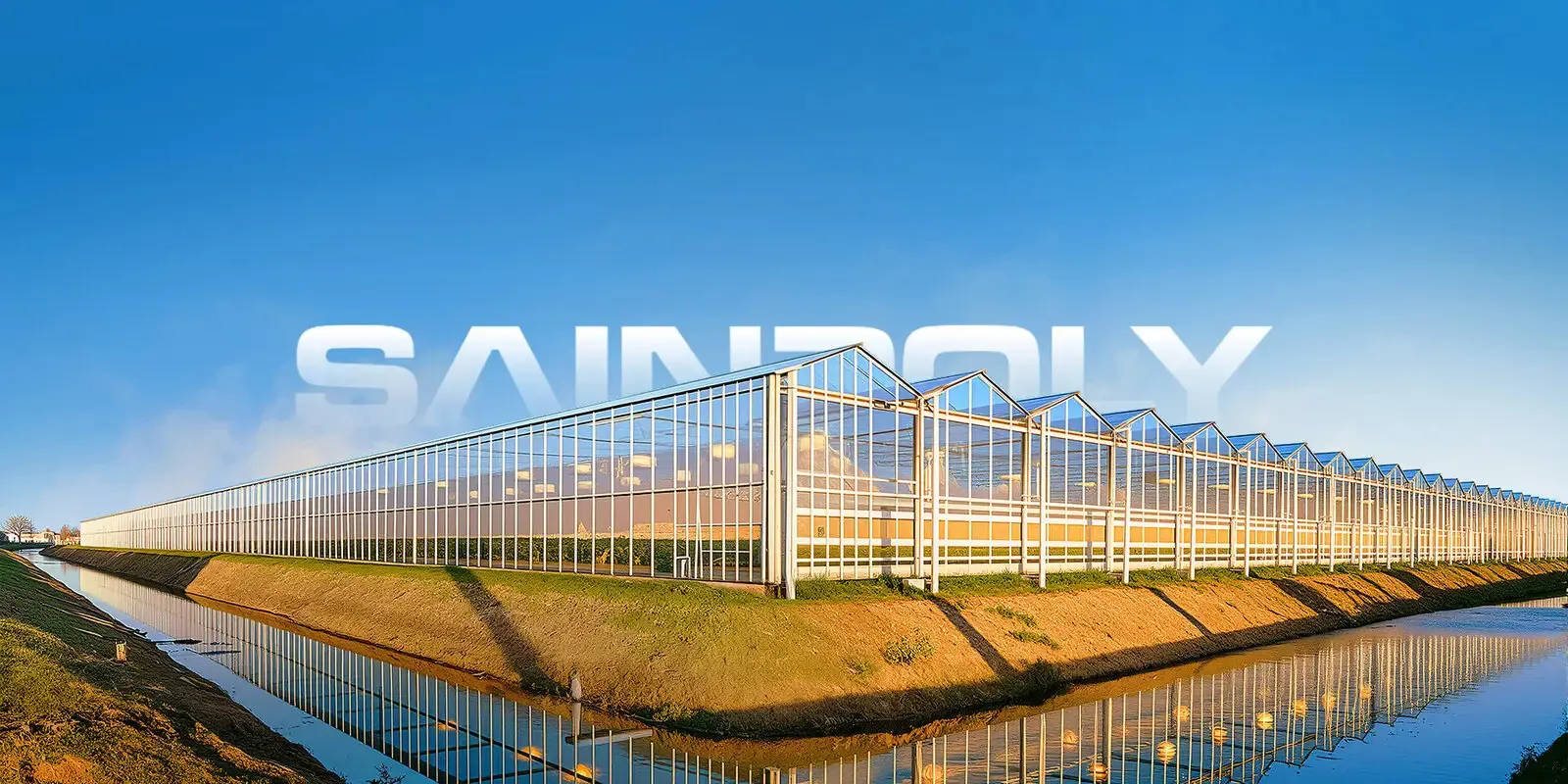 Carbon Dioxide Enrichment in Sainpoly Commercial Greenhouses
