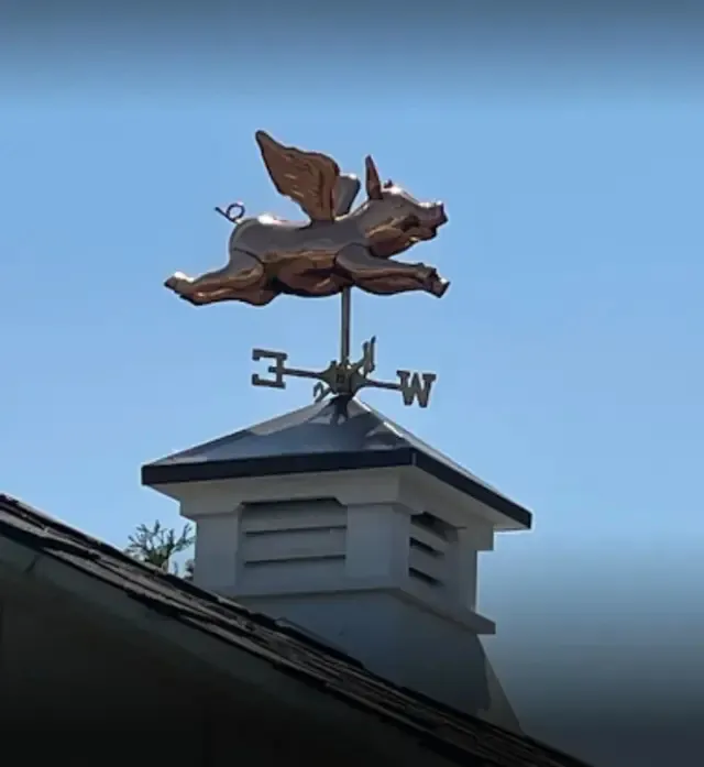 What to Know Before Choosing Aluminum Shed Cupolas S8VM for a Building
