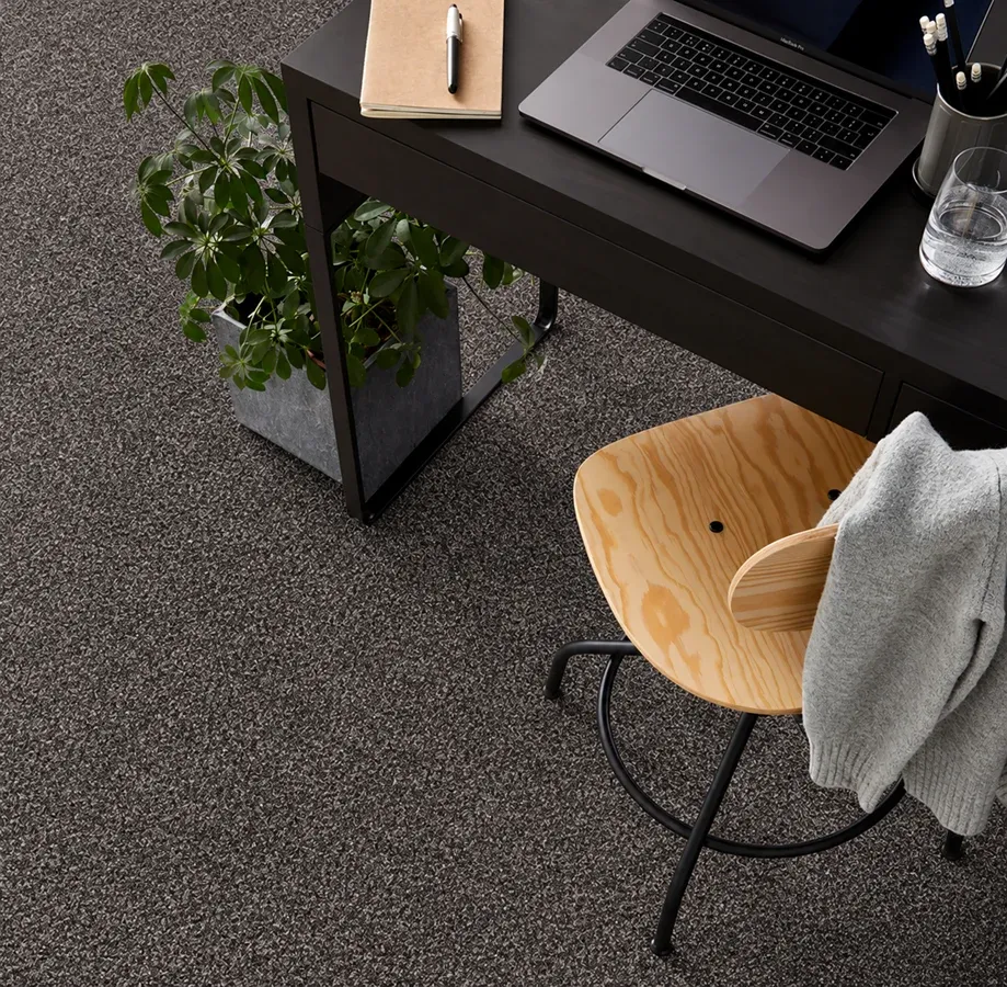 How to Vacuum and Clean Thick Carpet