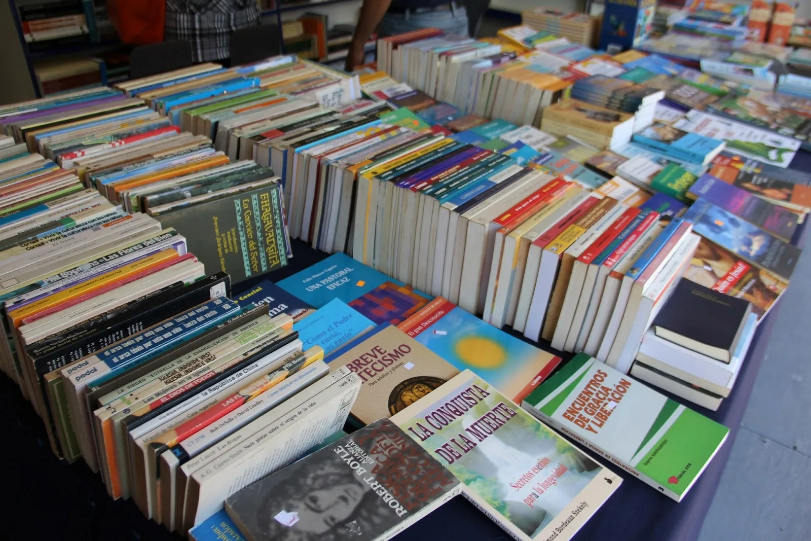 A Children’s Picture Book Is Designed Around Page Turns, Not Just Pages