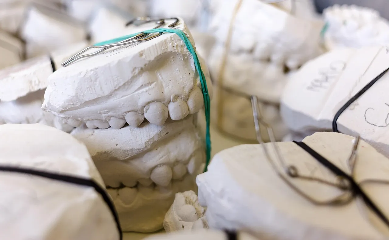 What Does Biodentistry Global Standard Training Actually Cover?