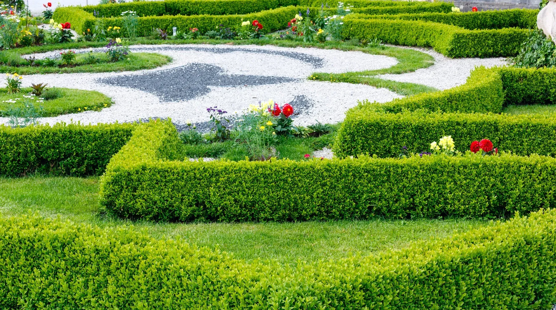 Choosing the Right Privacy Hedge Plants for Your Yard