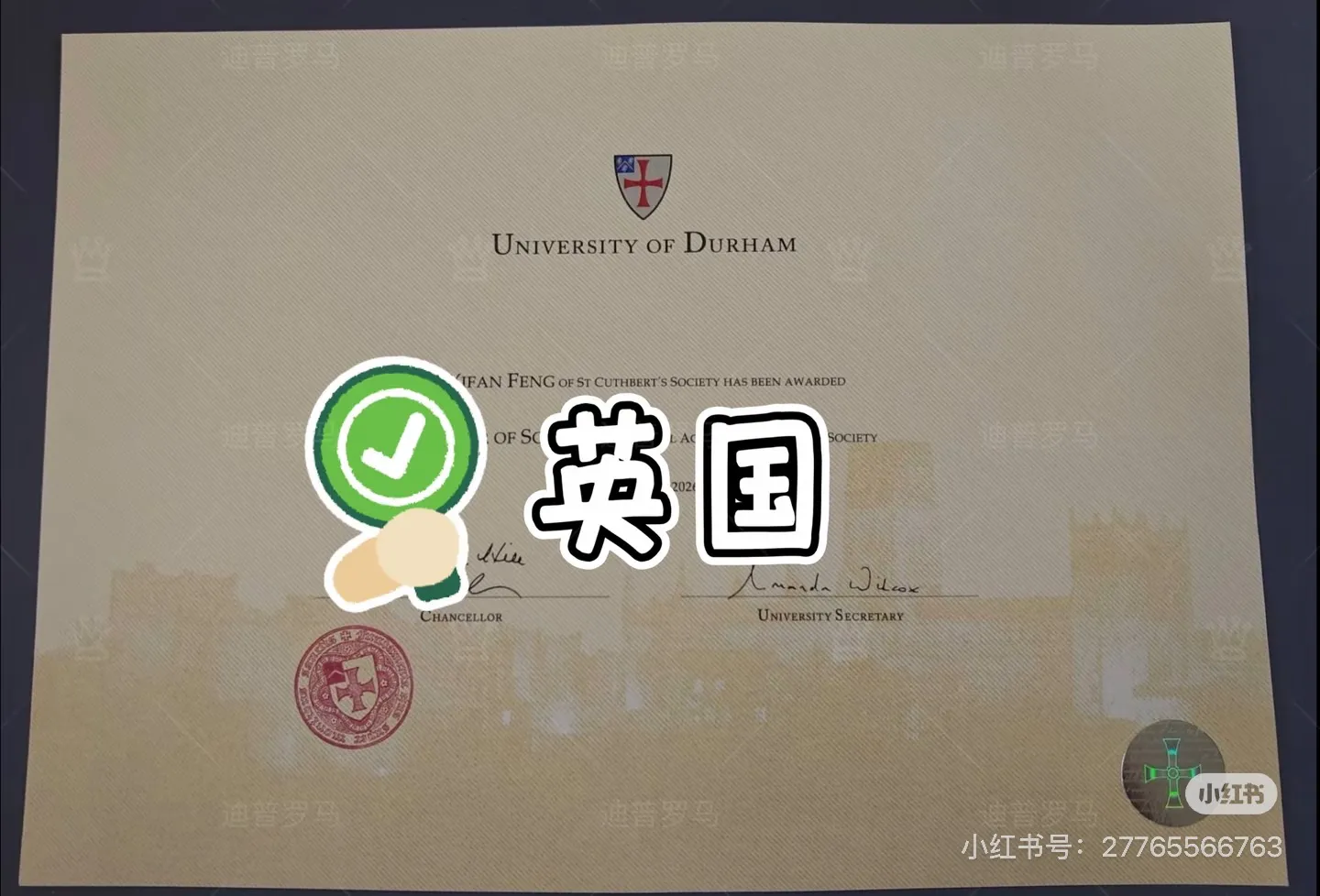 代辦高中畢業證書與成人高考的對比