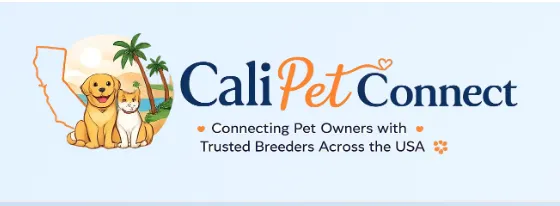 How to Find the Right Pet for Your Lifestyle
