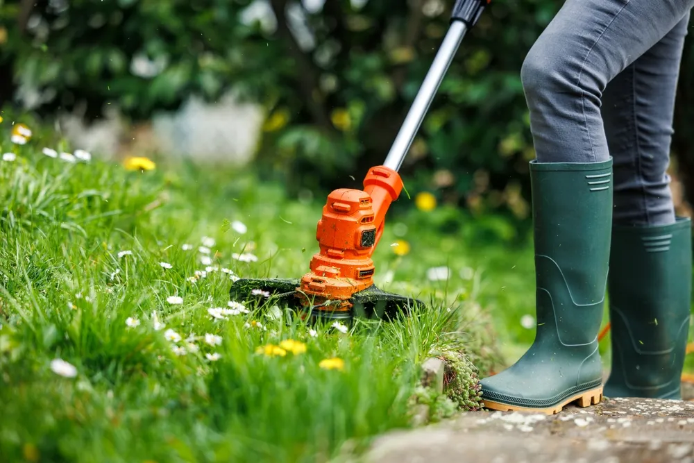 Outdoor Property Maintenance: A Practical Guide for Homeowners and Property Managers