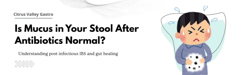 Mucus in Stool After Antibiotics or Food Poisoning: Causes, Recovery, and Healing Tips