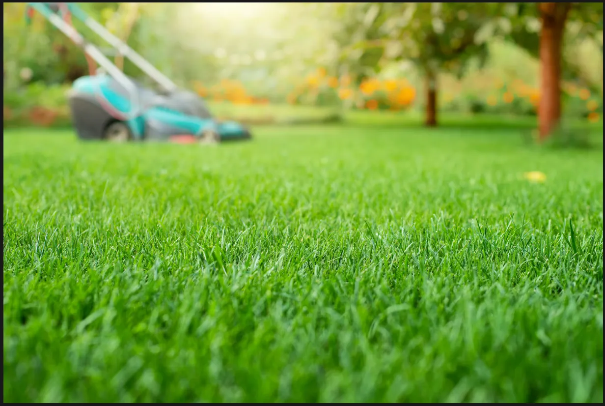 The Ultimate Spring and Fall Yard Clean-Up Checklist for Colorado Homeowners