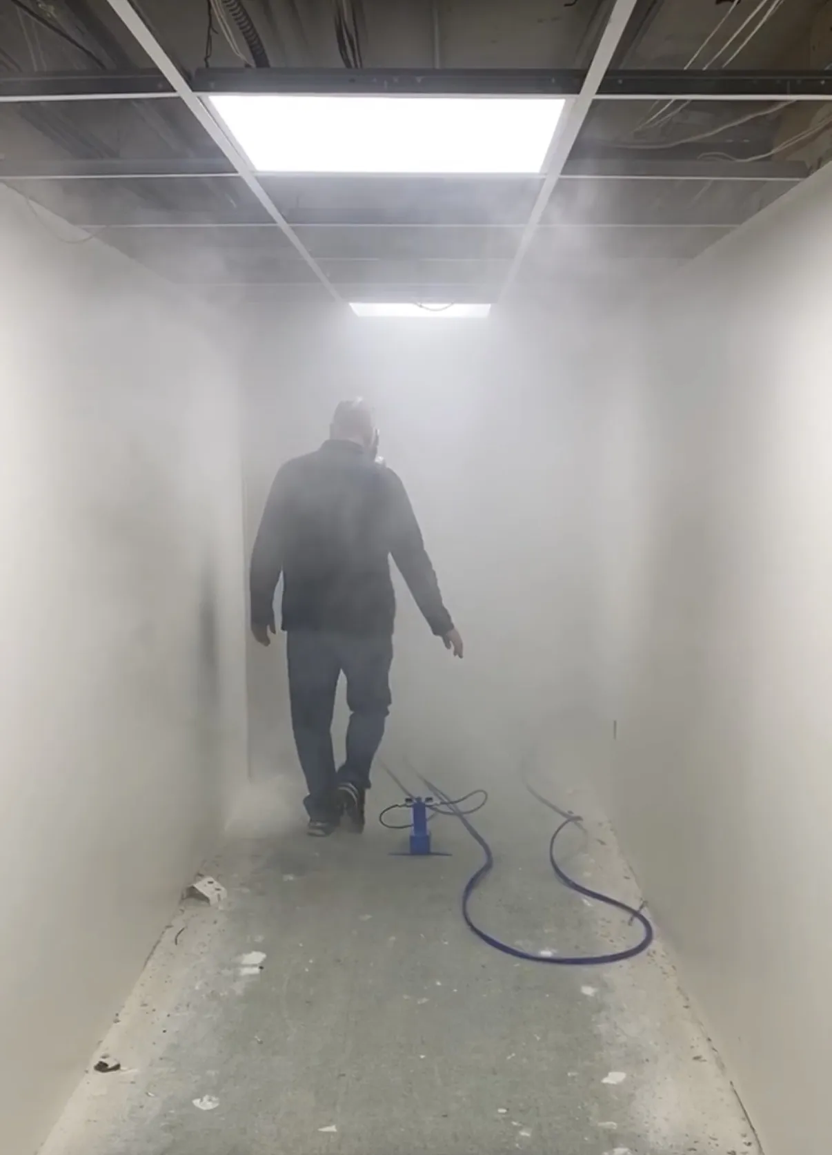 Choosing a Professional Mold Inspection Service for a Healthier Home