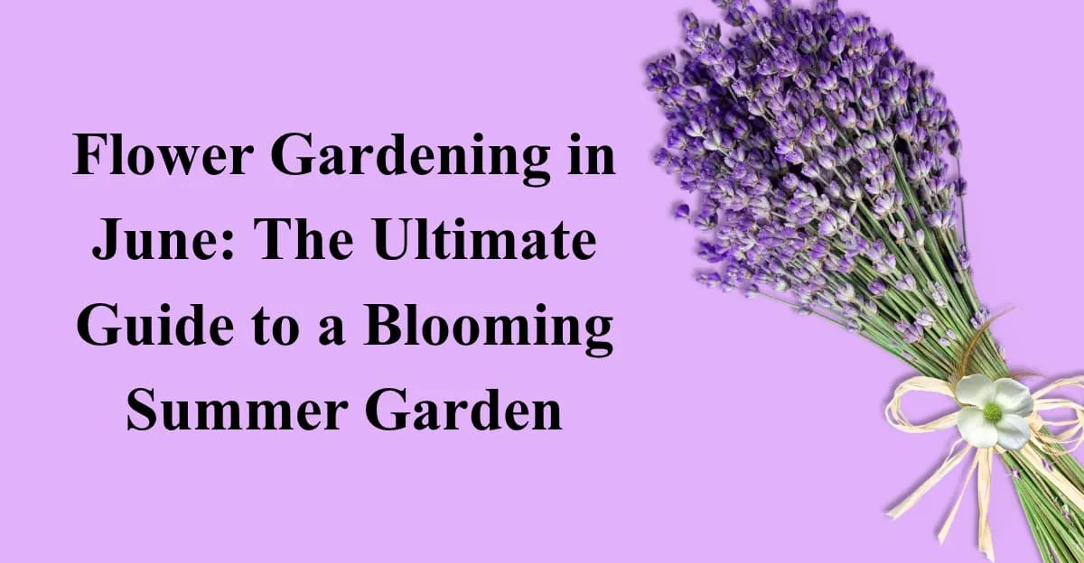 Flower Gardening in June: The Ultimate Guide to a Blooming Summer Garden