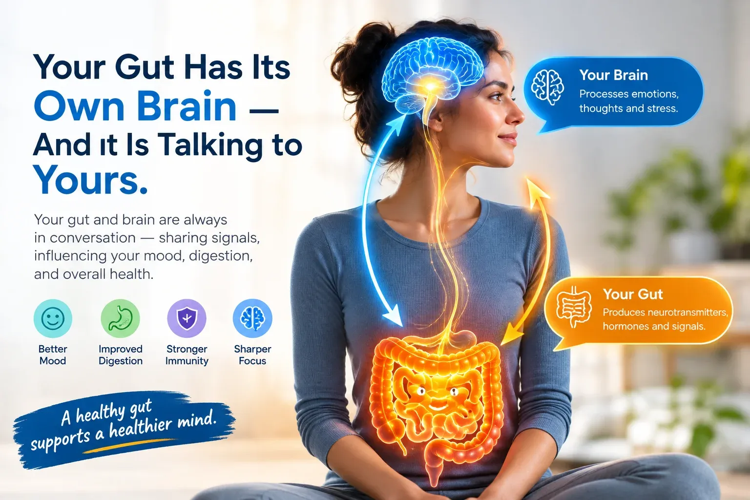 Your Gut Has Its Own Brain — And It Is Talking to Yours