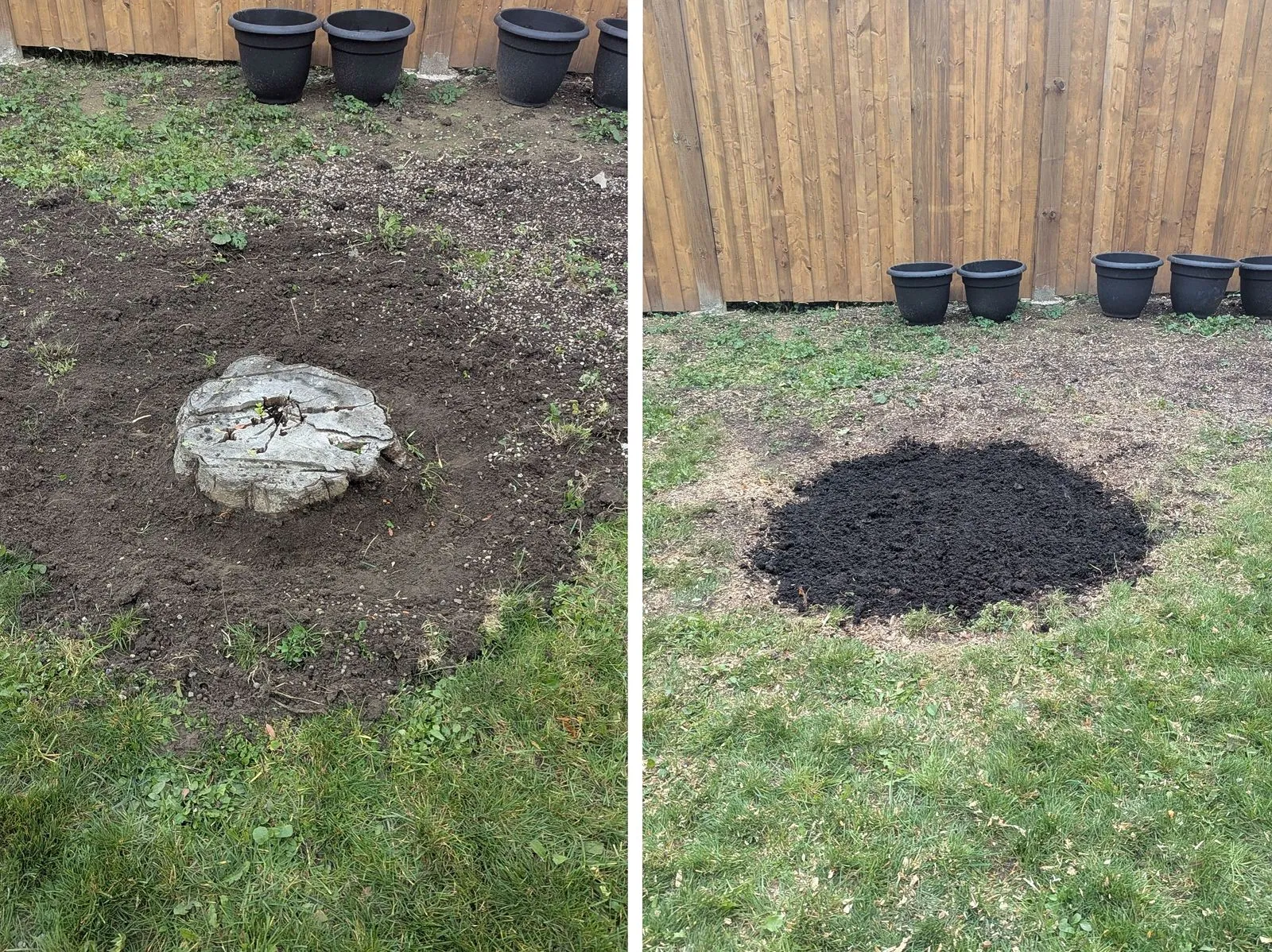 Tree Stump Removal: Grinding vs. Digging Out, Costs and How to Choose