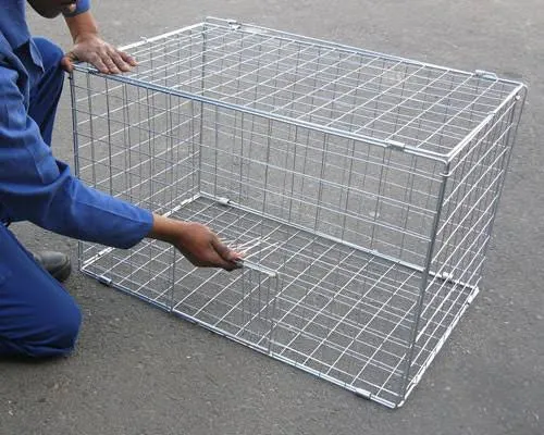 How to Reduce Pigeon-Related Property Damage With Better Bird Control