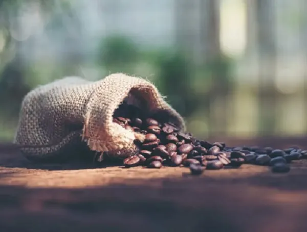 Choosing better daily beans