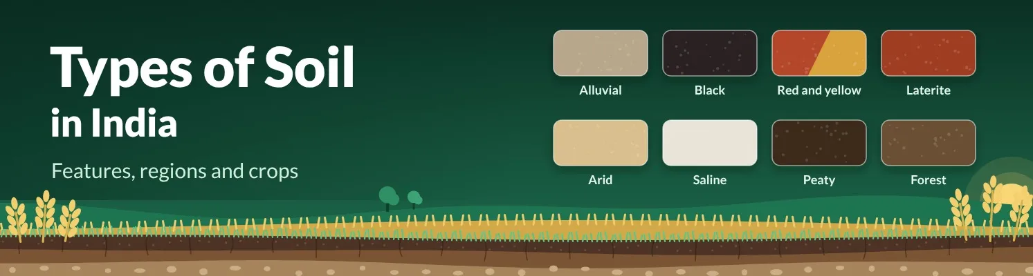 Types of Soil in India