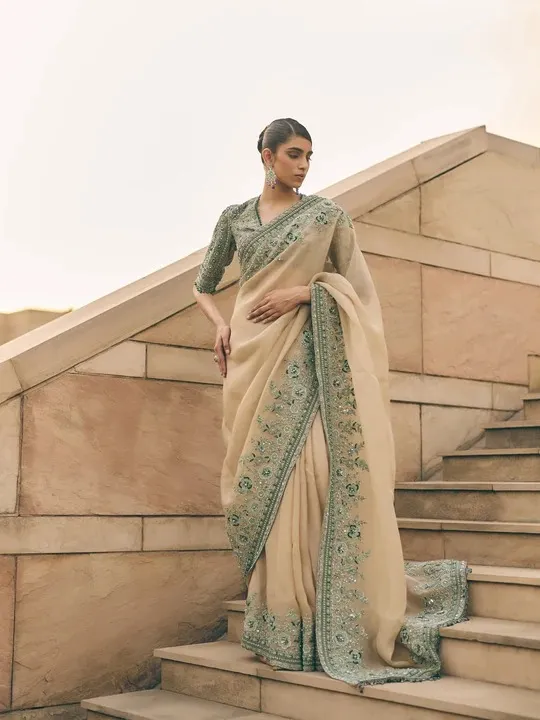 Shop Designer Saree for Wedding Online | Payal Keyal