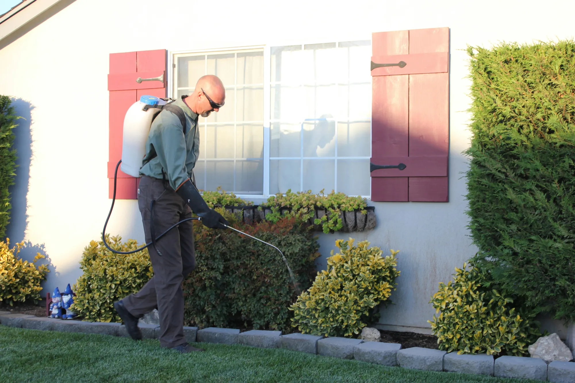 Biological Pest Control and Property Protection