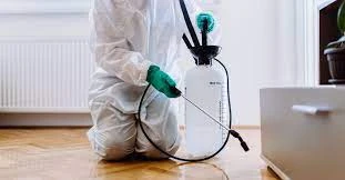 Safeguarding Your Home: Effective Pest Control in Richmond Hill