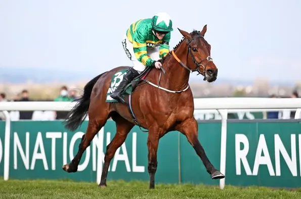 How Can Horse Racing Database Software Improve Race Analysis and Performance Tracking?