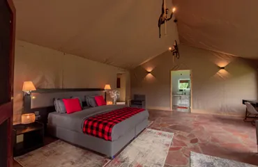 Find Your Perfect Masai Mara Tented Camp for a Memorable Safari