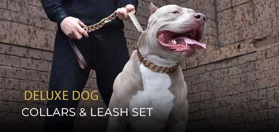 Exploring the Best Dog Leads in Canada