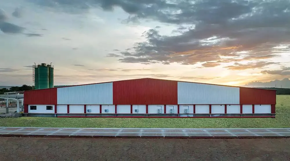 Pre-Engineered Steel Buildings for Industrial Projects  - Everest