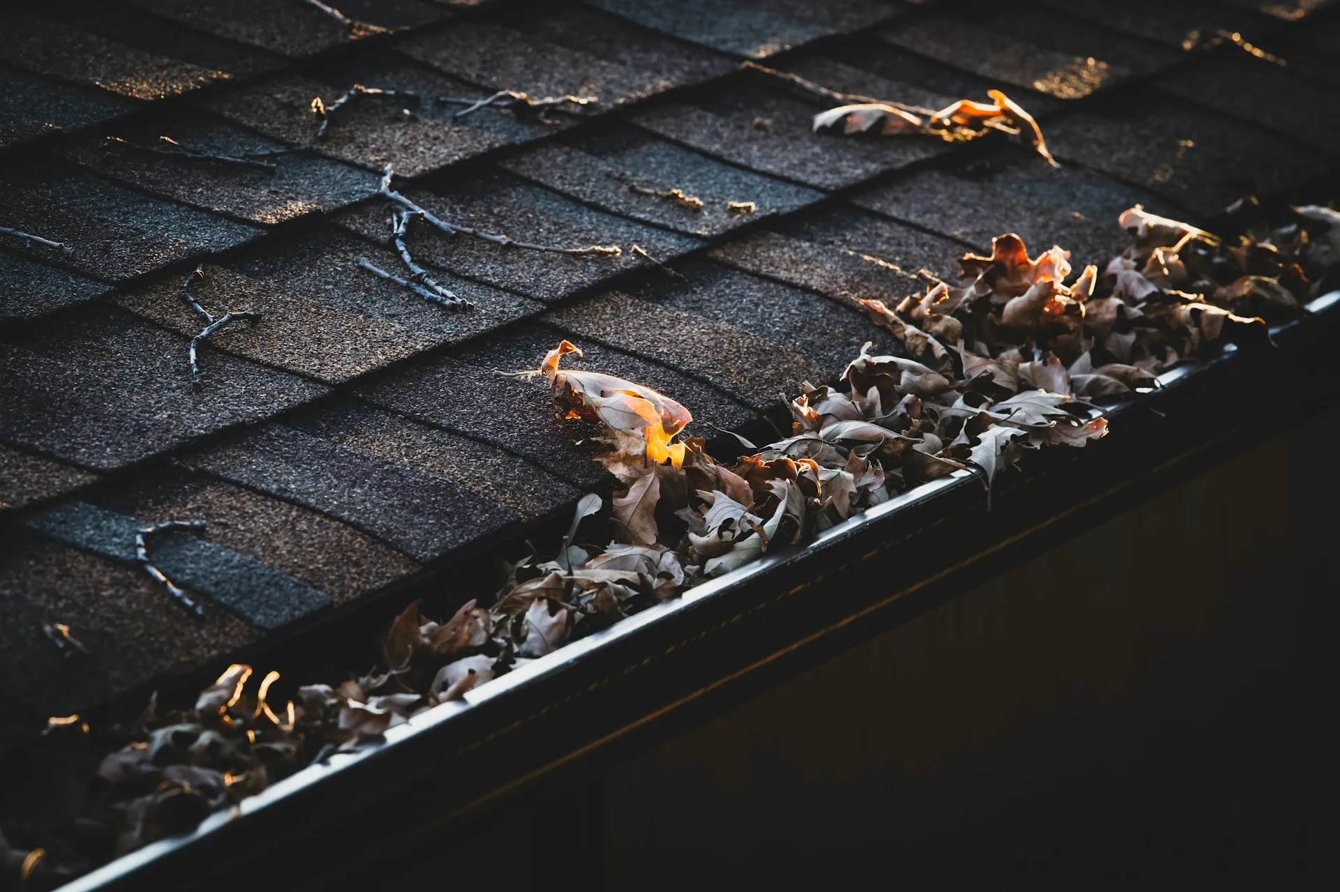 Why Regular Gutter Cleaning in Galway Is Essential for Every Home
