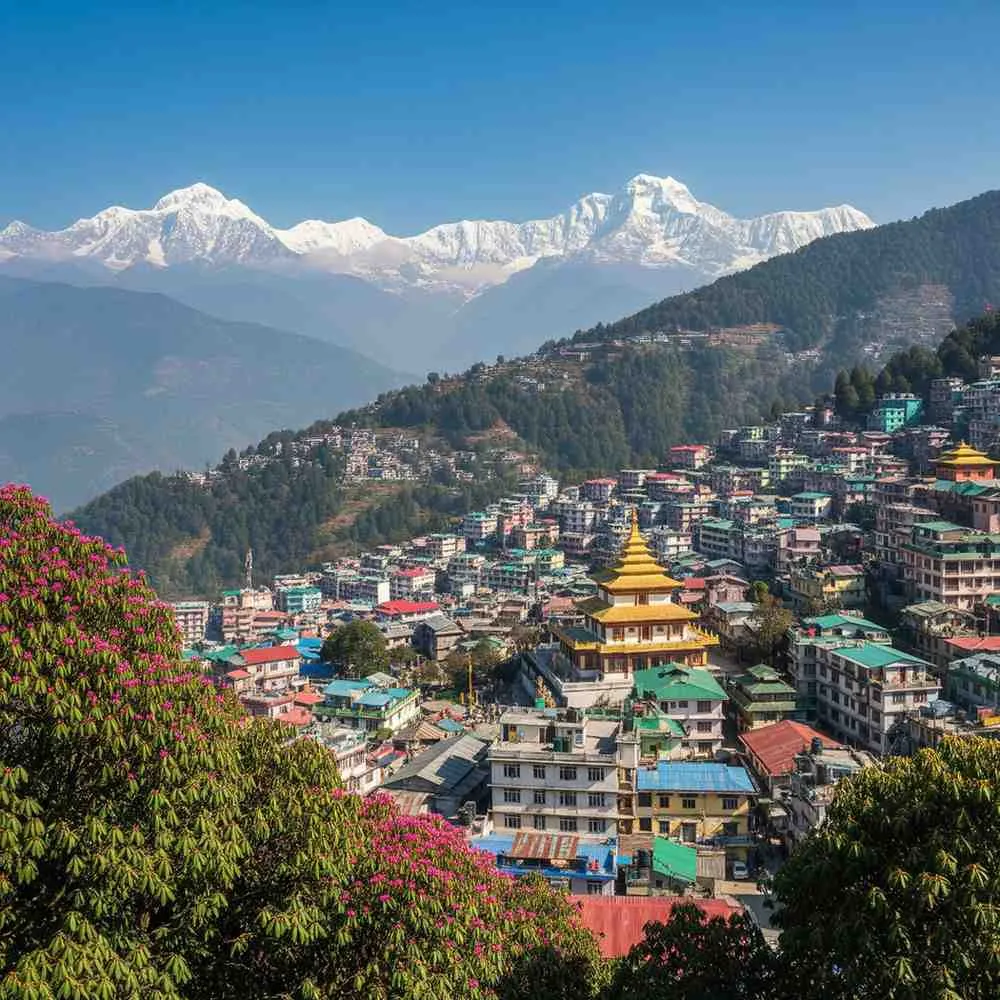 Best Time to Visit Sikkim: Weather, Snowfall, Seasons & Travel Guide