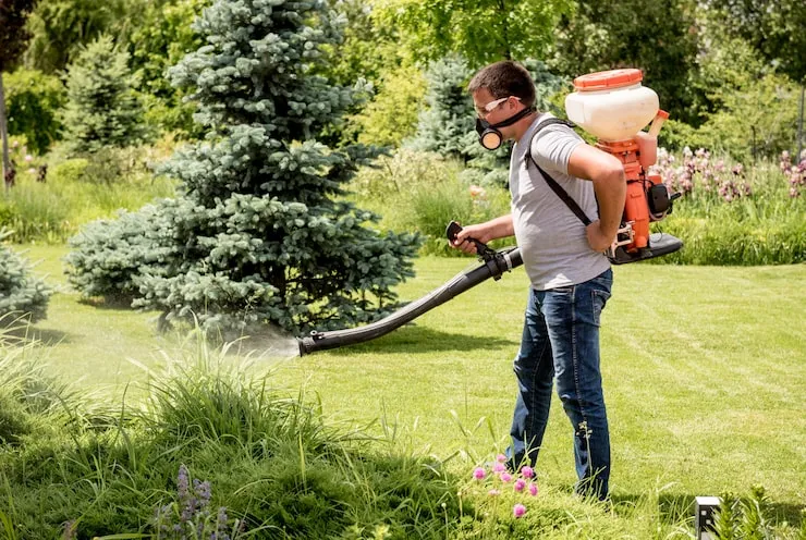 When Is the Best Time to Apply Lawn Fertiliser in the UK?