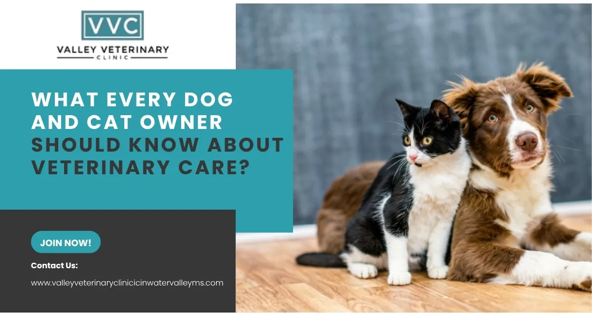 What Every Dog and Cat Owner Should Know About Veterinary Care
