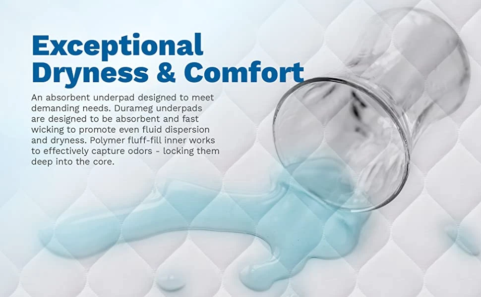 Buy Disposable Food &amp; Salad Containers with Lids: Convenience and Sustainability Combined