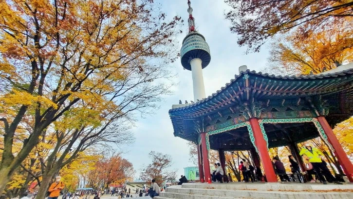 Why a Package Holiday to Seoul Should Be Considered for Your Next Vacation