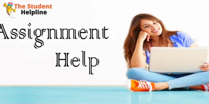 Make Use Of Assignment Help Services To Fully Succeed In Graduate School