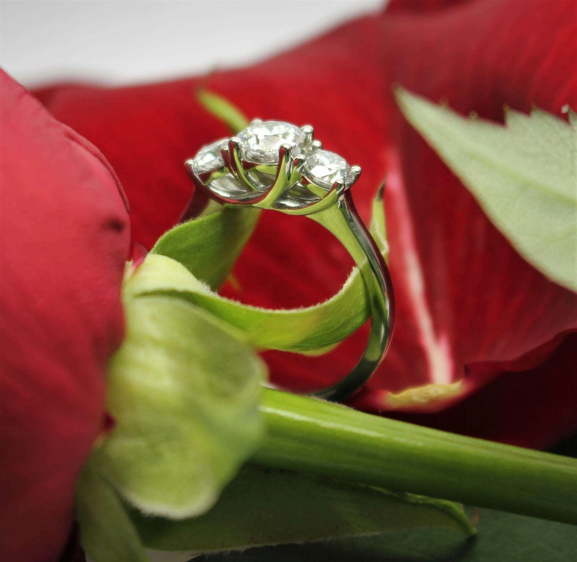 Where to Buy Diamond Engagement Rings in Vancouver