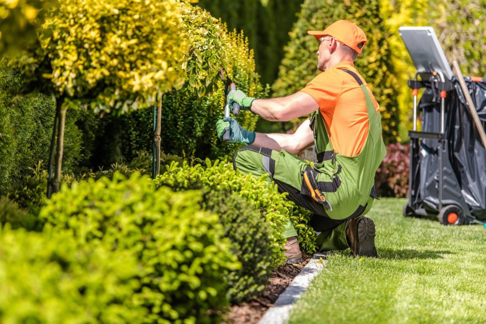 Win Back your Weekends With Professinal Garden Maintenance Services